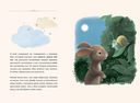 Кролик, который хочет уснуть. Сказка в помощь родителям(новая обложка) — фото, картинка — 2
