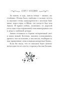 Секрет Аладдина — фото, картинка — 5