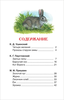 Лучшие рассказы о природе — фото, картинка — 6
