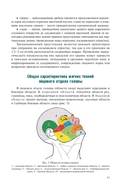 Краткий курс топографической анатомии — фото, картинка — 11