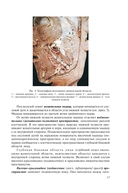 Краткий курс топографической анатомии — фото, картинка — 17