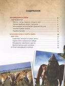 О птичках, рыбках и зверюшках — фото, картинка — 1