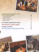 О птичках, рыбках и зверюшках — фото, картинка — 2