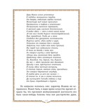 История России. 1560-1670 г. — фото, картинка — 14