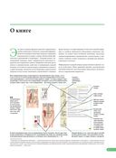 Анатомия мышц. Иллюстрированный справочник — фото, картинка — 5