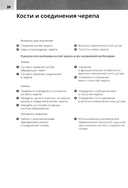 Анатомия головы и зубочелюстного аппарата — фото, картинка — 16