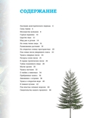 Наша планета: загадочные и удивительные факты — фото, картинка — 1