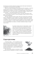 Самая полная энциклопедия для садоводов и огородников — фото, картинка — 15