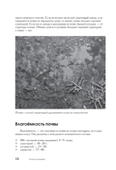 Самая полная энциклопедия для садоводов и огородников — фото, картинка — 16