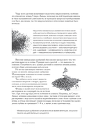 Самая полная энциклопедия для садоводов и огородников — фото, картинка — 20