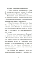 Мистер Кто. Детектив из Петербурга — фото, картинка — 13