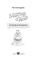 Мистер Кто. Детектив из Петербурга — фото, картинка — 3