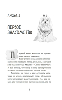 Мистер Кто. Детектив из Петербурга — фото, картинка — 5