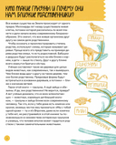 Вот так капибара. Необыкновенные грызуны и их родственники — фото, картинка — 1