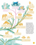 Вот так капибара. Необыкновенные грызуны и их родственники — фото, картинка — 2