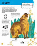 Вот так капибара. Необыкновенные грызуны и их родственники — фото, картинка — 11