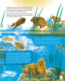 Вот так капибара. Необыкновенные грызуны и их родственники — фото, картинка — 12