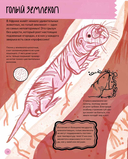 Вот так капибара. Необыкновенные грызуны и их родственники — фото, картинка — 13