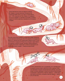 Вот так капибара. Необыкновенные грызуны и их родственники — фото, картинка — 14