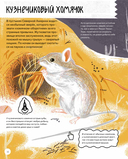 Вот так капибара. Необыкновенные грызуны и их родственники — фото, картинка — 15