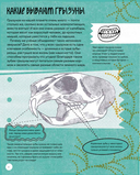 Вот так капибара. Необыкновенные грызуны и их родственники — фото, картинка — 3