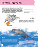 Вот так капибара. Необыкновенные грызуны и их родственники — фото, картинка — 5