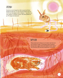 Вот так капибара. Необыкновенные грызуны и их родственники — фото, картинка — 6