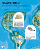 Вот так капибара. Необыкновенные грызуны и их родственники — фото, картинка — 7