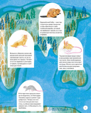 Вот так капибара. Необыкновенные грызуны и их родственники — фото, картинка — 8