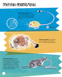 Вот так капибара. Необыкновенные грызуны и их родственники — фото, картинка — 9