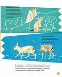 Вот так капибара. Необыкновенные грызуны и их родственники — фото, картинка — 10