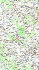 Окрестности Гомеля — фото, картинка — 1