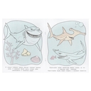 Чудо-рыбки. Водная раскраска. Раскрась водой — фото, картинка — 1