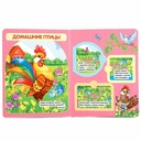 Загадки о животных — фото, картинка — 1