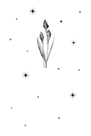 Улыбка чёрного кота — фото, картинка — 1