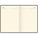 Ежедневник недатированный 