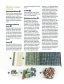 Магия садовой мозаики. Как с помощью яркой плитки создать шедевры декора — фото, картинка — 7