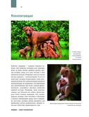 Атлас Земли. Животные, растения, грибы, бактерии, минералы и другие сокровища нашей планеты — фото, картинка — 12