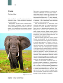 Атлас Земли. Животные, растения, грибы, бактерии, минералы и другие сокровища нашей планеты — фото, картинка — 13