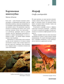 Атлас Земли. Животные, растения, грибы, бактерии, минералы и другие сокровища нашей планеты — фото, картинка — 14