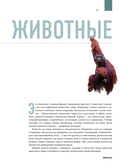 Атлас Земли. Животные, растения, грибы, бактерии, минералы и другие сокровища нашей планеты — фото, картинка — 9