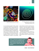 Атлас Земли. Животные, растения, грибы, бактерии, минералы и другие сокровища нашей планеты — фото, картинка — 11