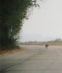 Вадим Абдрашитов. Воспоминания — фото, картинка — 11