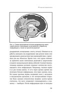 Конец пиара. Управление репутацией как финансовым капиталом — фото, картинка — 24
