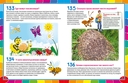 Лучшая энциклопедия для детей от 6 до 12 лет — фото, картинка — 4