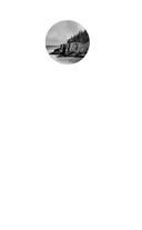 Когда поют деревья — фото, картинка — 1