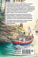 Эпическая сказочная сага о приключениях последних гномов Британии. Комплект из 2 книг — фото, картинка — 38