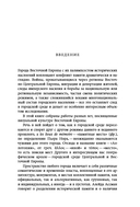 Аллотопии: Чужое и Другое в пространстве восточноевропейского города — фото, картинка — 8