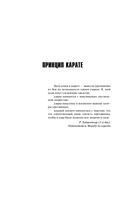 Принцип карате — фото, картинка — 3