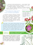 Заповедники России — фото, картинка — 12